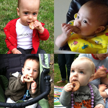 Teething_biscuit